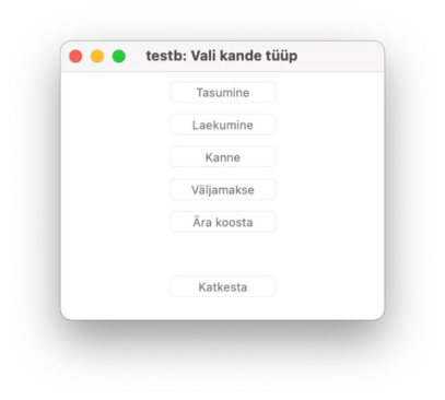 Aruanne „Pangaväljavõte (Pangaliidestus)“, juhendi lk 35